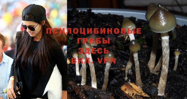 не бодяженный Алзамай